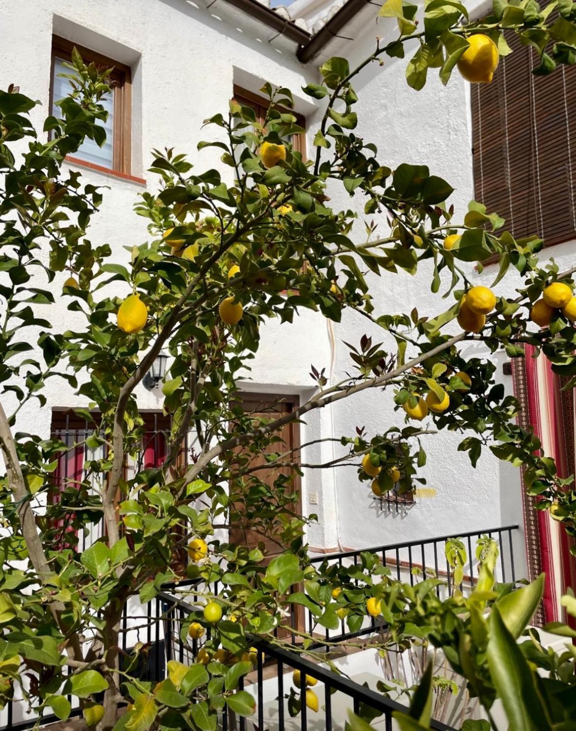 Casita Del Albaizin Granada